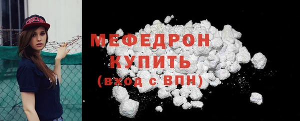 ешки Бородино