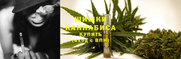 ешки Бородино
