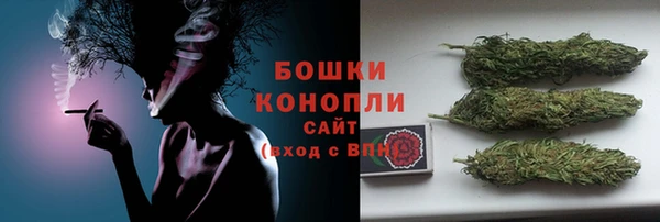 ГАЛЛЮЦИНОГЕННЫЕ ГРИБЫ Верхний Тагил