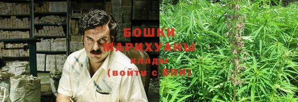 ГАЛЛЮЦИНОГЕННЫЕ ГРИБЫ Верхний Тагил