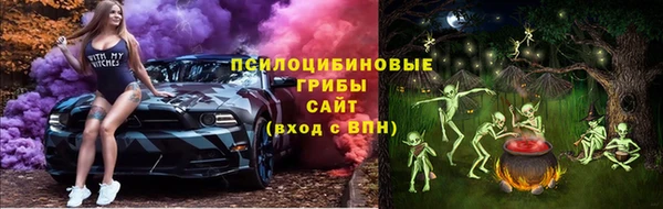PSILOCYBIN Строитель