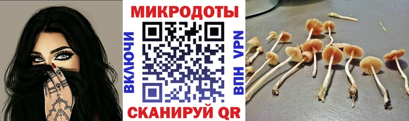 Псилоцибиновые грибы Psilocybine cubensis  мега рабочий сайт  Канаш 